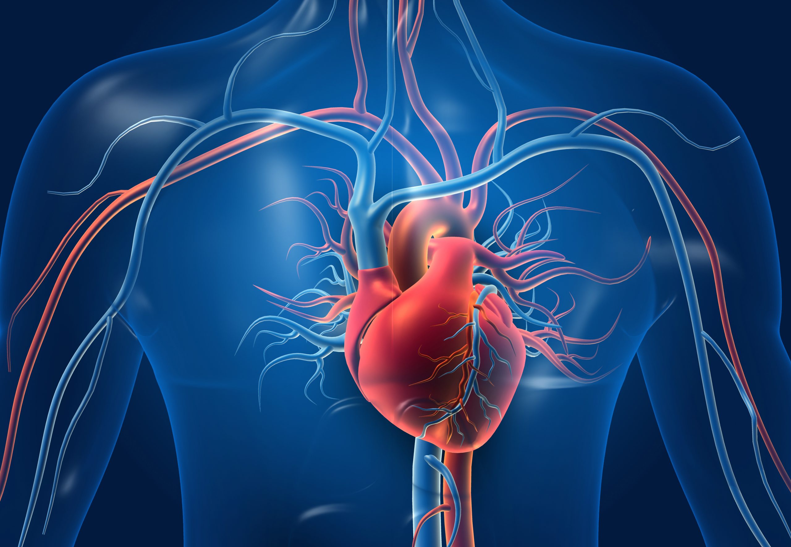 Cardiovascular Disease Treatment Protocol
